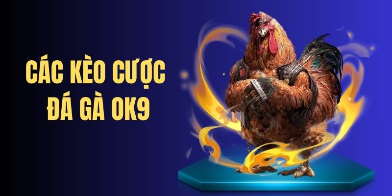 Các kèo cược đá gà hot tại sân chơi OK9