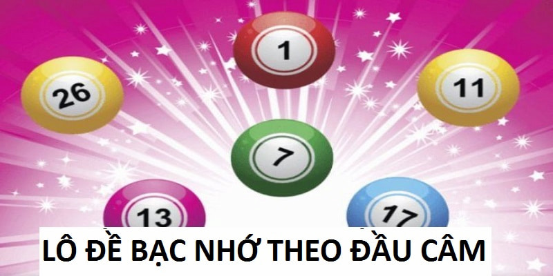 Bạc nhớ đầu câm có nhiều dữ liệu đẹp